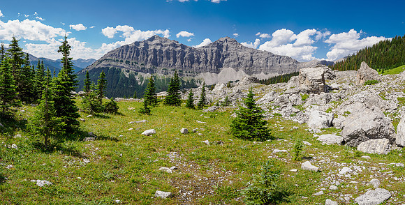 The boulder field.