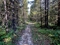 Biking up a series of logging roads along the lower SW flanks of Battleship.