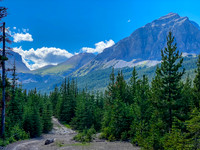 Looking back down the longest uphill section on return from South Hidden Cr.