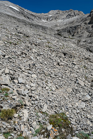 Ascending the lower rubbly SW gully / face of Tornado Mountain.