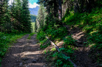 The road ends in 100m at the creek. The GDT branches up to the right here.