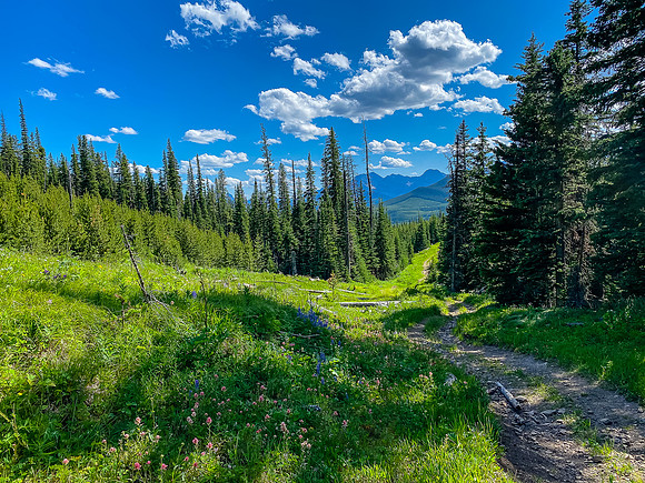 Sections of very pleasant riding back along Gould Dome's eastern shoulder.