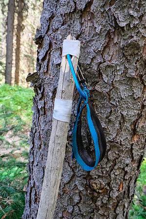 My custom designed and built hiking pole.