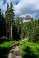 Descending to the South Hidden Creek bridge.