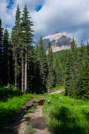 Descending to the South Hidden Creek bridge.