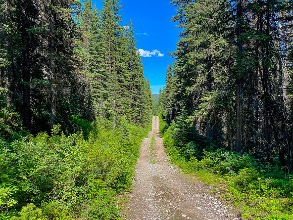 The long ride back - starts out fast along South Hidden Creek.