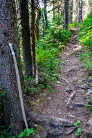 My custom designed and built hiking pole.