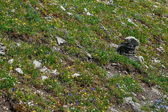 Ascending steeply to the pass under Tornado's SW face.
