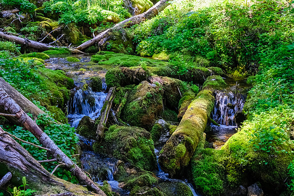 A gorgeous stream in the forest along the GDT.