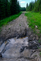 Lots of (deep) mud holes along the ride.