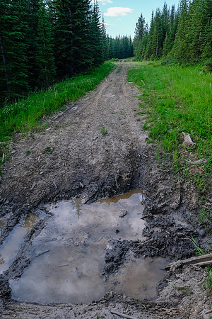 Lots of (deep) mud holes along the ride.