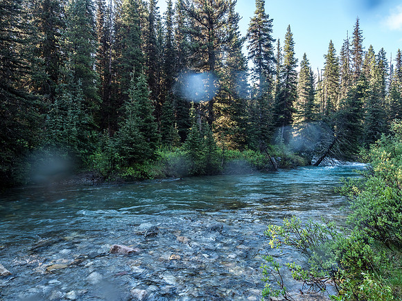 The regular crossing for Currie Creek is right here. I went pockets-deep before turning back.