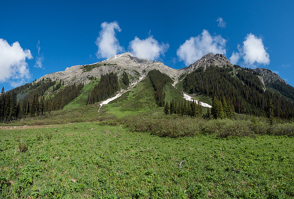 Massive avalanche paths on the south face of Currie. Our route went up to the snow patch left of center, cutting left just before the snow and then across 2 or 3 more avy paths before getting into th