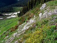Looking down the gully over the cliffbands.