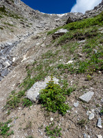 The gully gets a bit manky about mid way.