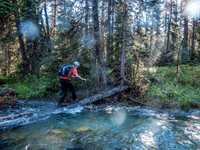 Our escape across Currie Creek. Right where Phil is the water was deeper than my 120cm poles could reach. And that log is slick too.