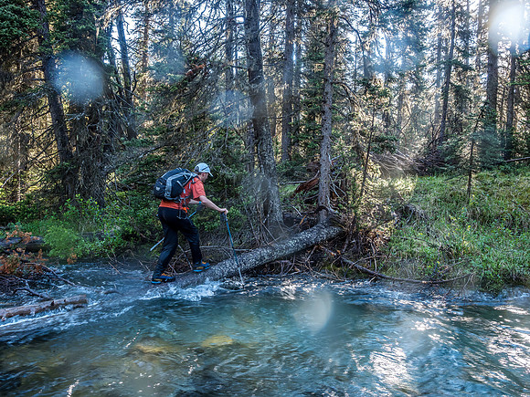 Our escape across Currie Creek. Right where Phil is the water was deeper than my 120cm poles could reach. And that log is slick too.