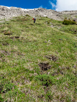 Using grassy slopes to ascend.