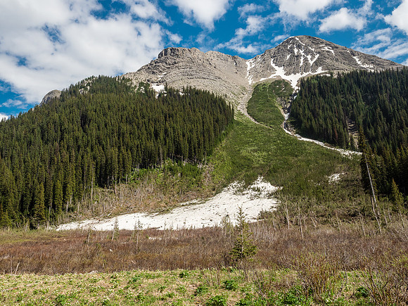 This is looking upslope at the north side of Mount Warre. Note the avalanche damage in the forest at left of center?