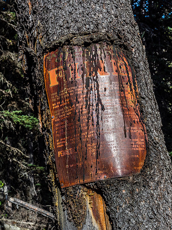 More evidence of the history of this area is found at an old horse camp along the trail.