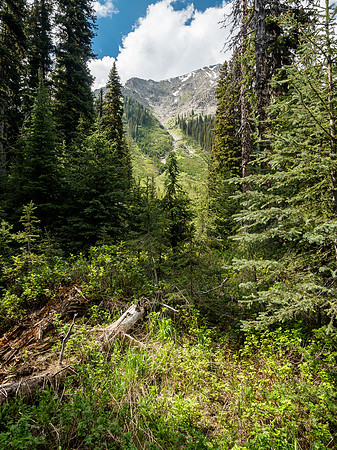 From the trail looking up at the SE gully we ascended on Mount Currie. It looks rather far from here.