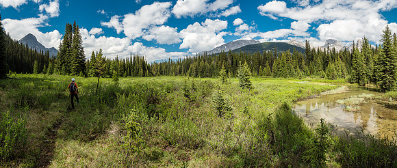 Apparently there's a trail going directly down to the Spray River from here (R). It doesn't look very well used though. White Man Creek at right here.