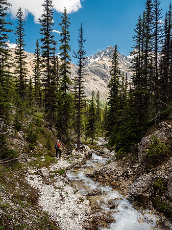 Phil hikes out along the stream that eventually becomes the Cross River.