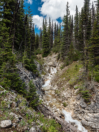 Hard to believe how big this river gets a few kilometers downstream. The Cross River eventually joins with the Mitchell River and then flows into the Kootenay.