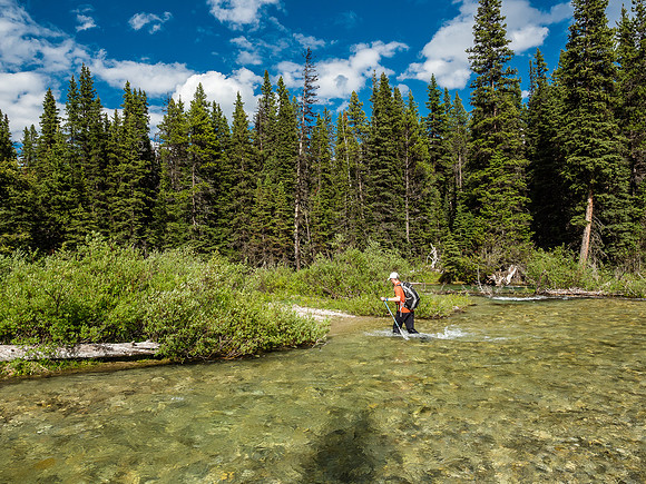 A much easier crossing of Currie Creek.