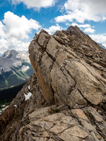 There were some nice positions on the upper ridge.
