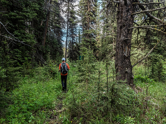Back on trail.