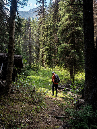 There's a lot of maintenance on the White Man Pass trail.