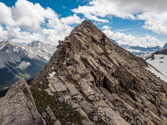 There were some nice positions on the upper ridge.