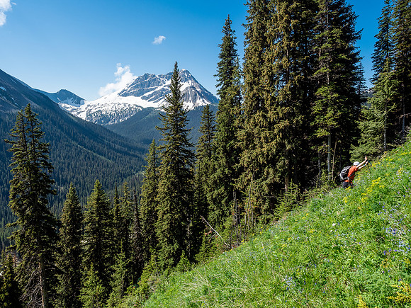 A steep grind - White Man Mountain showing up now.