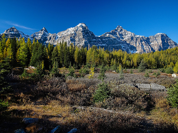Larch Valley.