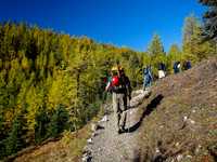 Hiking up Larch Valley to Sentinel Pass.