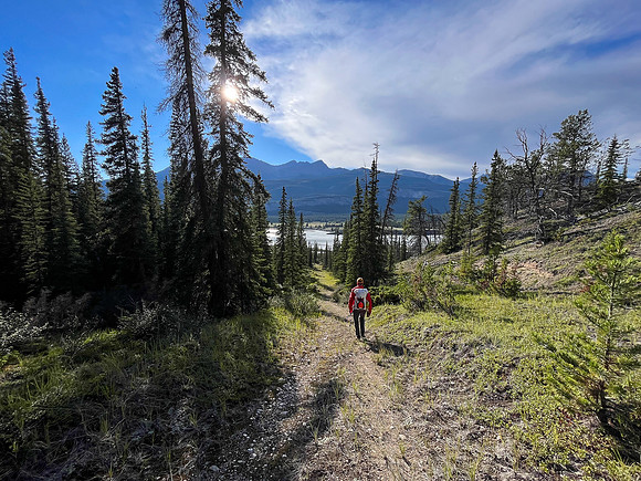 Hiking back to Kootenay Plains along the Siffleur River trail.