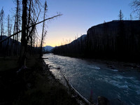 Hiking along the Siffleur River towards the Porcupine Creek crossing.