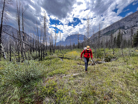 Hiking back to Kootenay Plains along the Siffleur River trail.