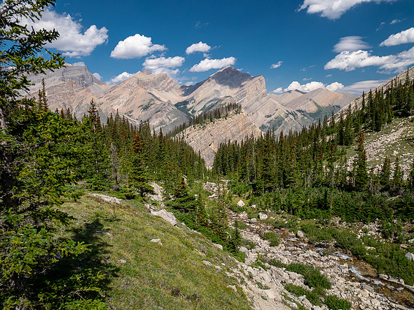 Descending Chortling Marmots creek towards the Siffleur River.