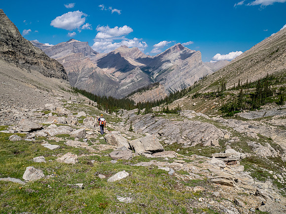 Descending Chortling Marmots creek towards the Siffleur River.