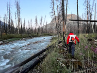 Hiking along the Siffleur River towards the Porcupine Creek crossing.