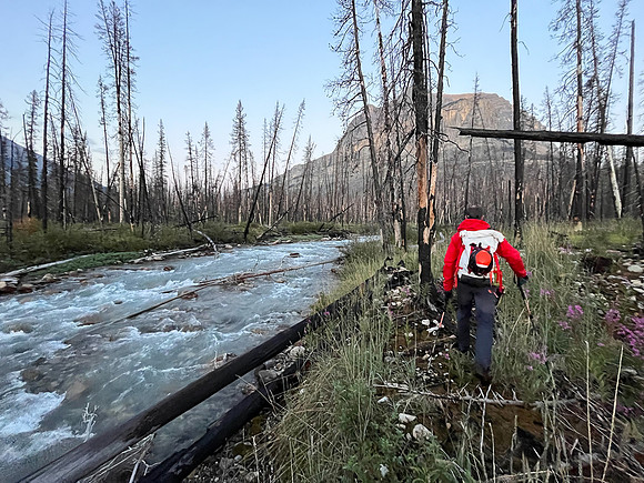 Hiking along the Siffleur River towards the Porcupine Creek crossing.