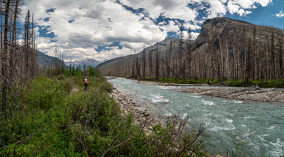 Hiking back to camp along the Siffleur River.