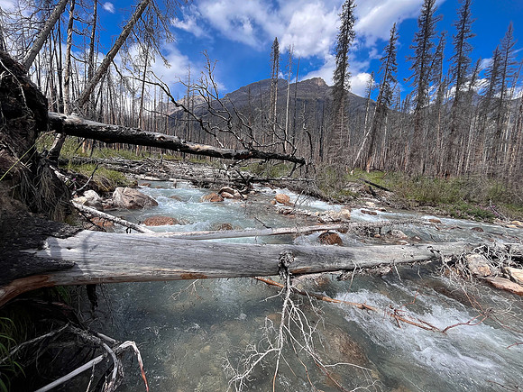 Crossing Porcupine Creek.