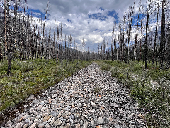 Hiking back to camp along the Siffleur River.