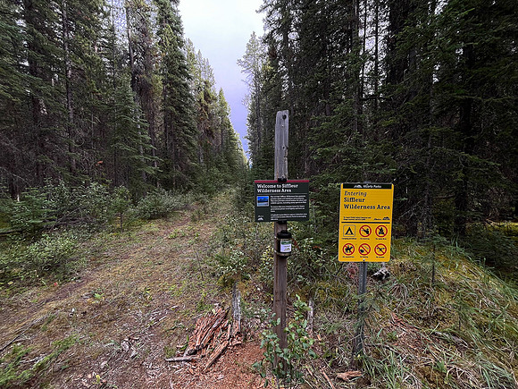 Hiking back to Kootenay Plains along the Siffleur River trail.