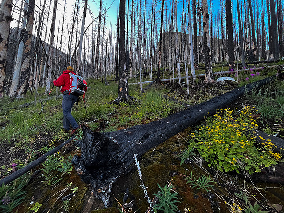 Ascending west slopes into Chortling Marmots Creek valley.