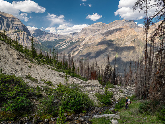 Descending Chortling Marmots creek towards the Siffleur River.