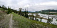 Hiking the Siffleur River Trail.